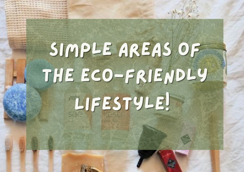 9 Simple Areas of the Eco-Friendly Lifestyle, Ready-To-Go Tips